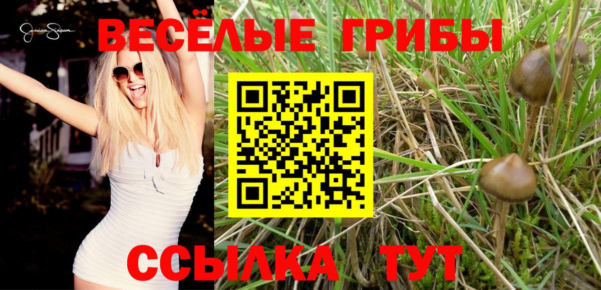 Псилоцибиновые грибы Cubensis  где найти наркотики  Вход с VPN  Воркута  Галлюциногенные грибы GOLDEN TEACHER 